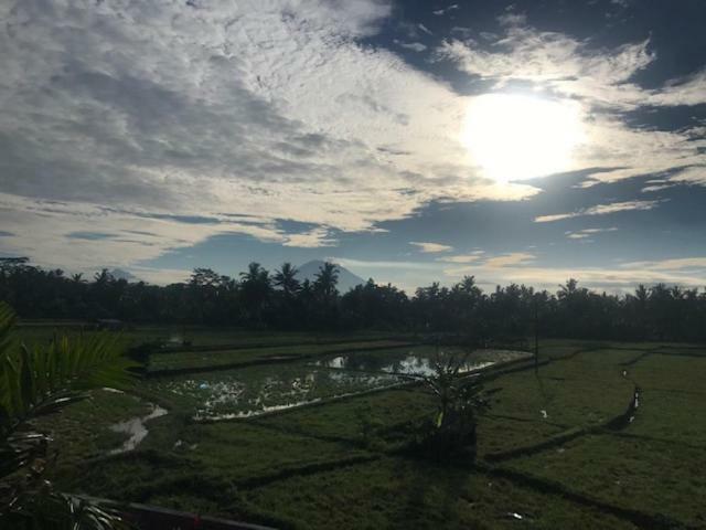Heavenly View Villa Убуд Экстерьер фото